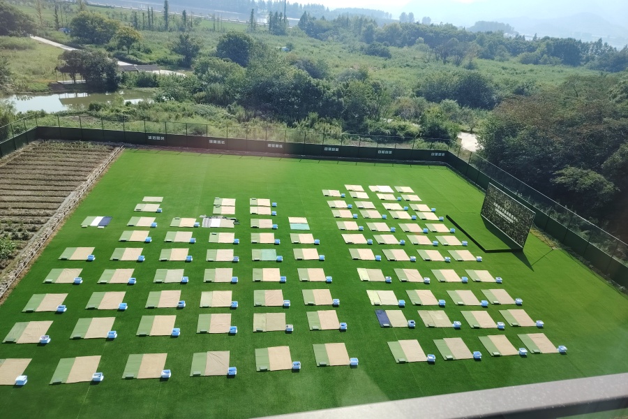 杭州戎铮心理咨询成长基地