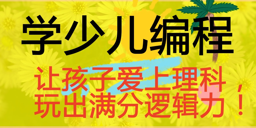 深圳少儿编程课程培训机构 深圳少儿编程课程培训机构