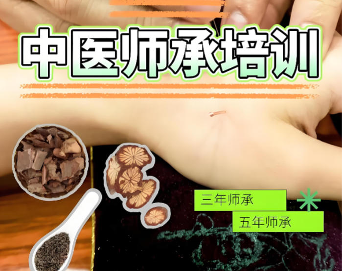 中医师承培训机构哪家好2026十大榜单更新 中医师承培训机构哪家好2026十大榜单更新