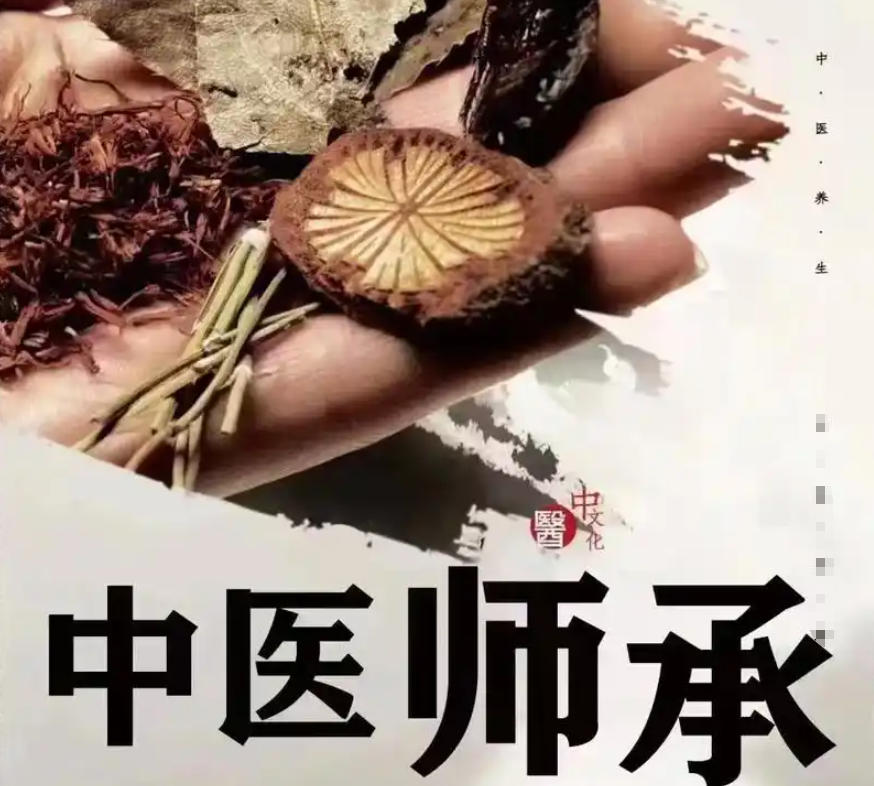 藏象中医师承培训机构 藏象中医师承培训机构