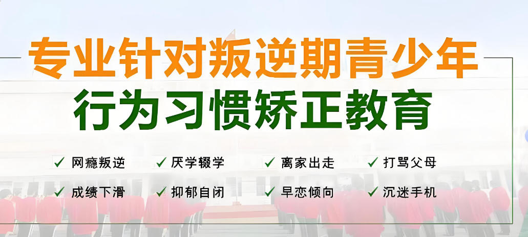 叛逆改造学校 叛逆改造学校