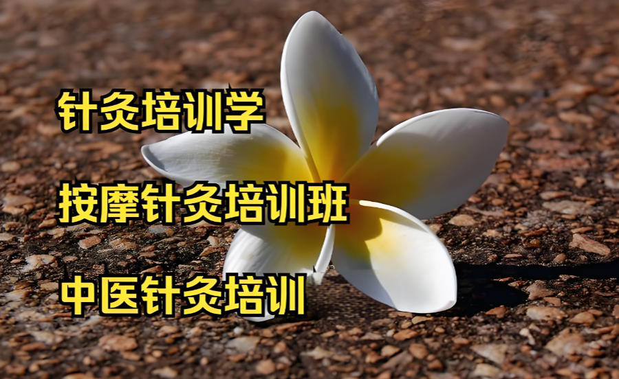 珠海中医针灸技能培训机构 珠海中医针灸技能培训机构