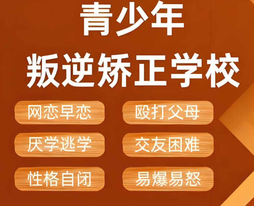 叛逆特训学校 叛逆特训学校