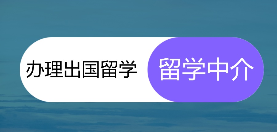 办理留学中介