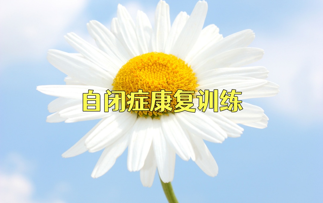 西安自闭症康复训练机构 西安自闭症康复训练机构