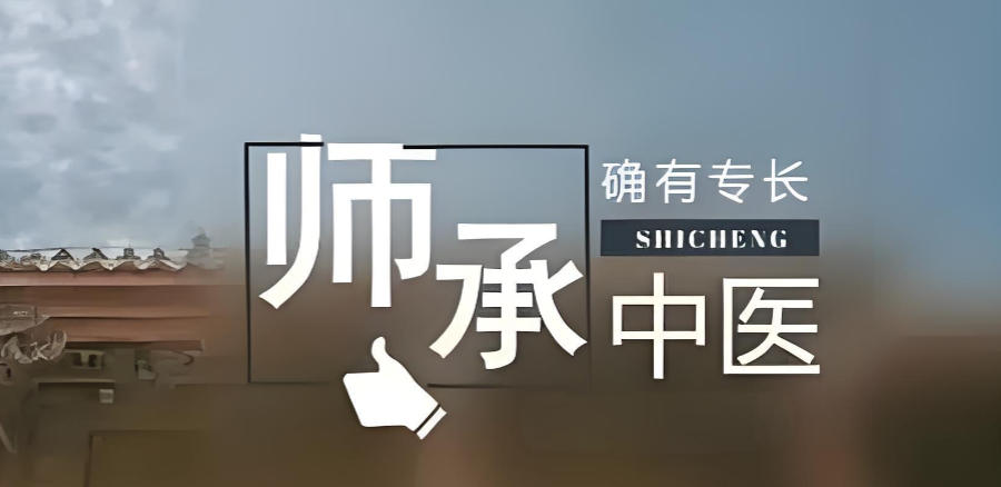 安徽中医师承培训机构