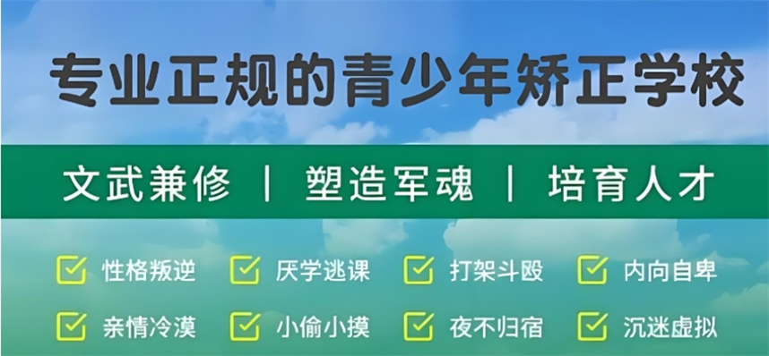 十大叛逆改造学校 十大叛逆改造学校