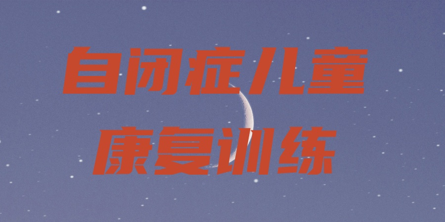 儿童自闭症康复机构 儿童自闭症康复机构