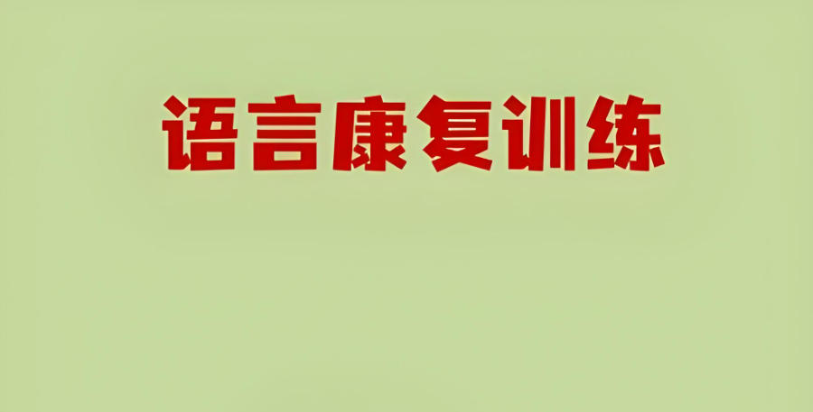 西安儿童语言康复训练机构 西安儿童语言康复训练机构