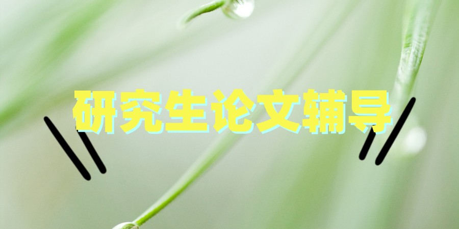 研究生论文辅导中介 研究生论文辅导中介