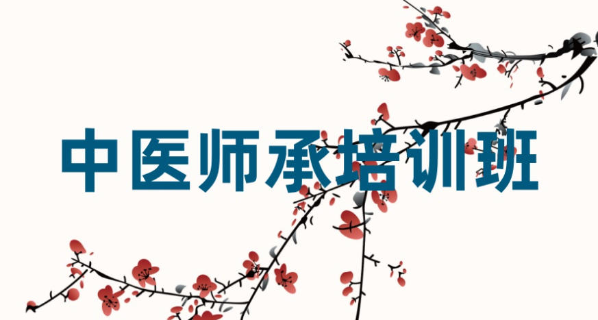 中医师承培训机构