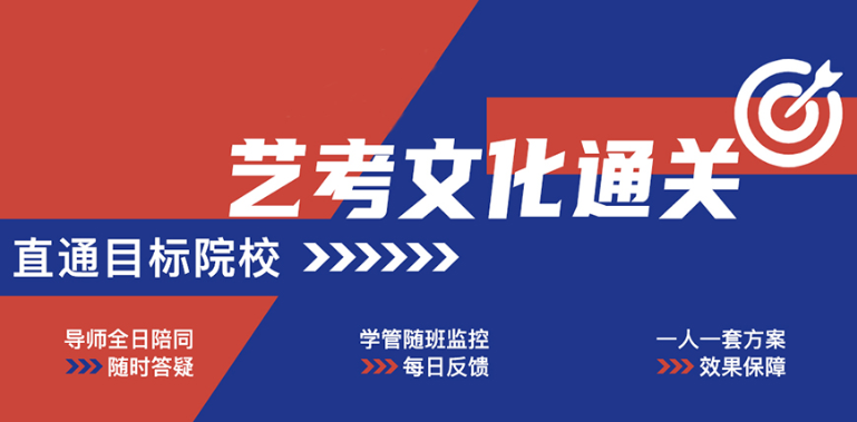 广州艺术生文化课补习