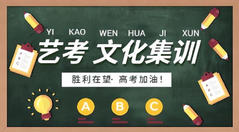 艺考生文化课集训学校