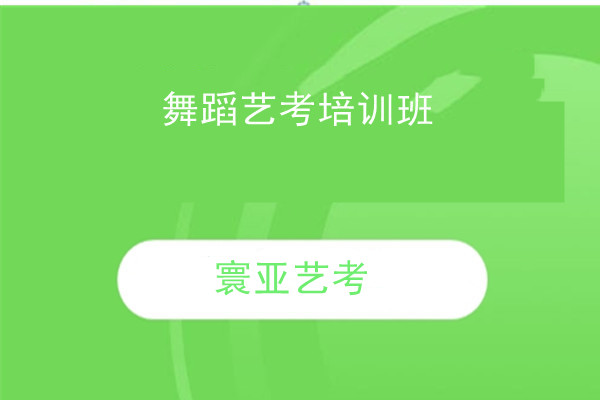 舞蹈艺考培训班
