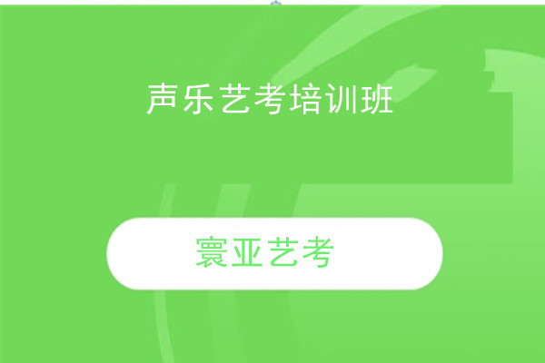 声乐艺考培训班