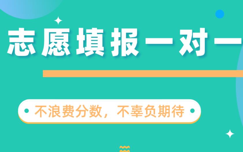 高考志愿填报一对一