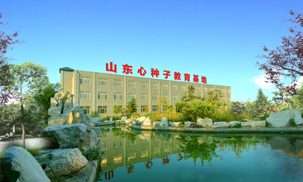 山东心种子教育咨询