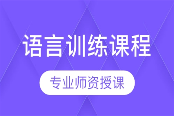 语言训练课程