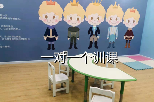 一对一个训课