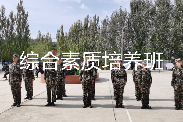 综合素质培养班