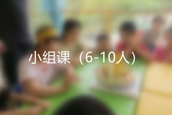 小组课（6-10人）