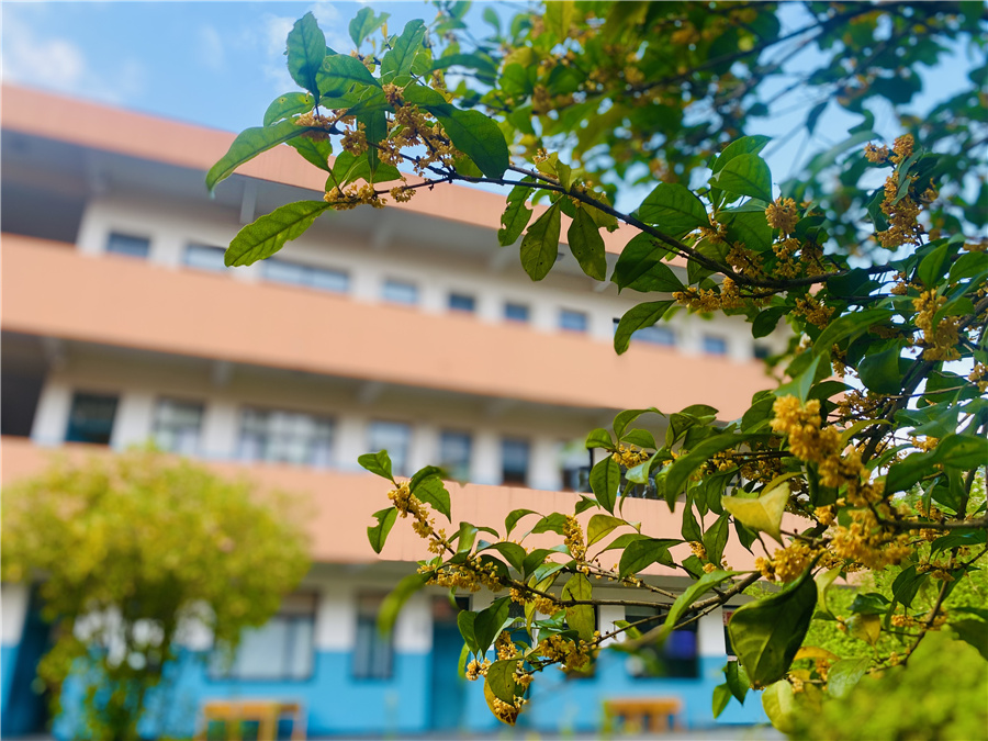 兴华励志训练_校区环境