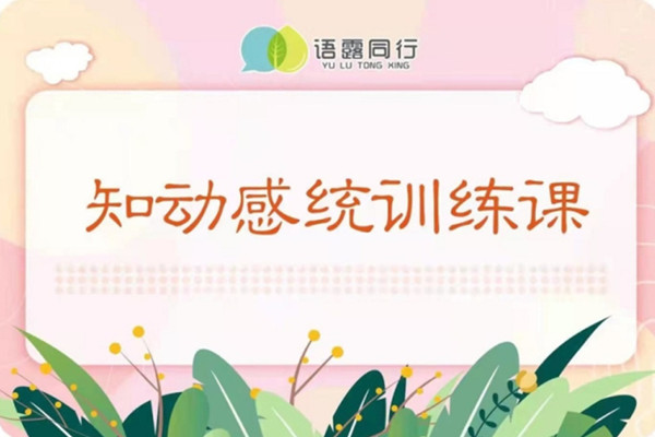 知动感统训练课