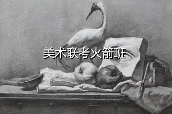 美术联考火箭班