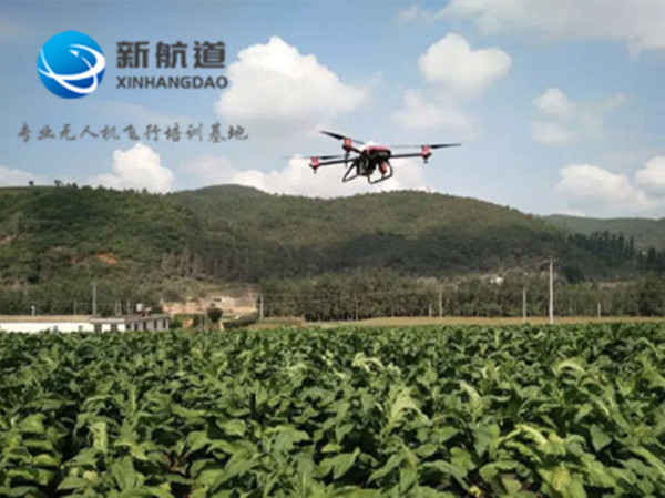 农林植保应用课程