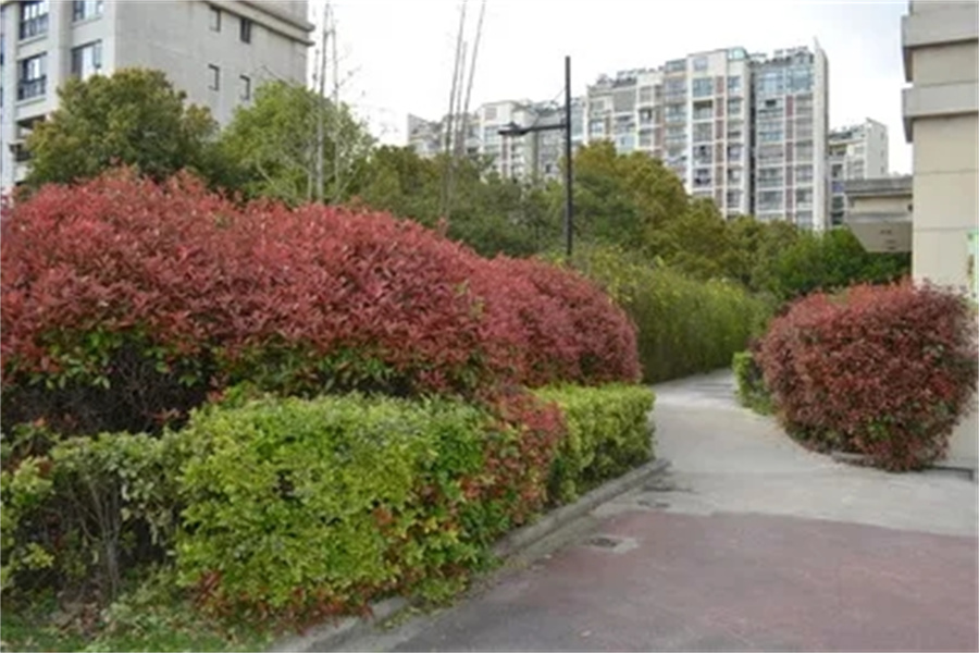 无锡争气复读学校_争气中高考复读学校环境