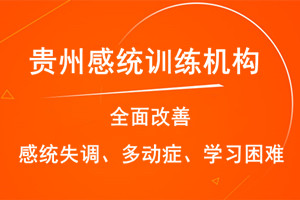 贵州感统训练机构