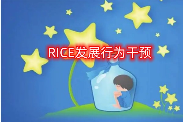 RICE发展行为干预机构