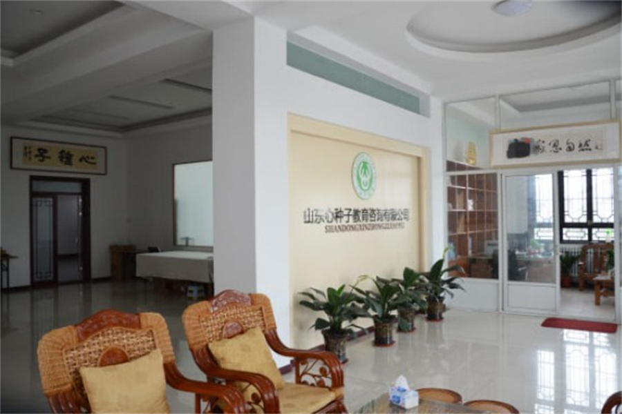 山东心种子教育咨询_办公室