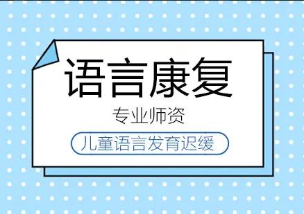 儿童语言康复课程