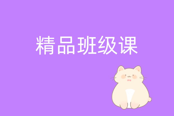 精品班级课