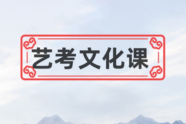 艺考文化课