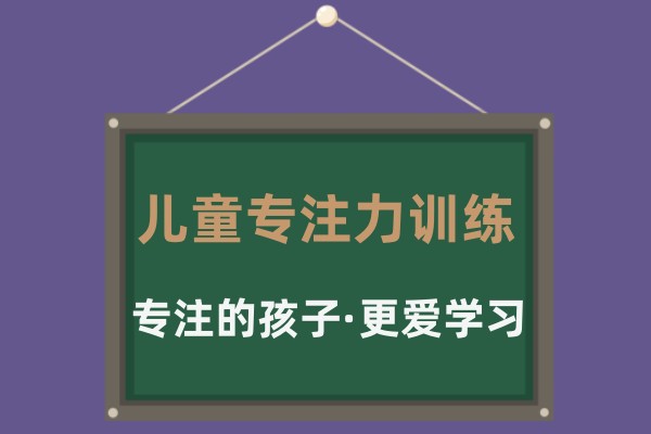 儿童专注力训练