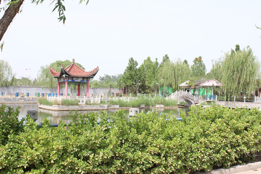 河北众德励志素质教育_校园环境一角