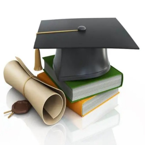 Paper King _助力学员留学毕业