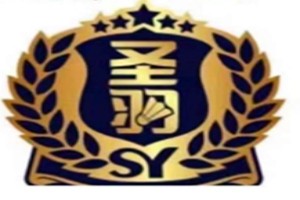 圣羽（天津）体育文化传播有限公司