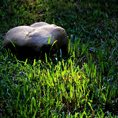 深圳博识视觉摄影_学员作品