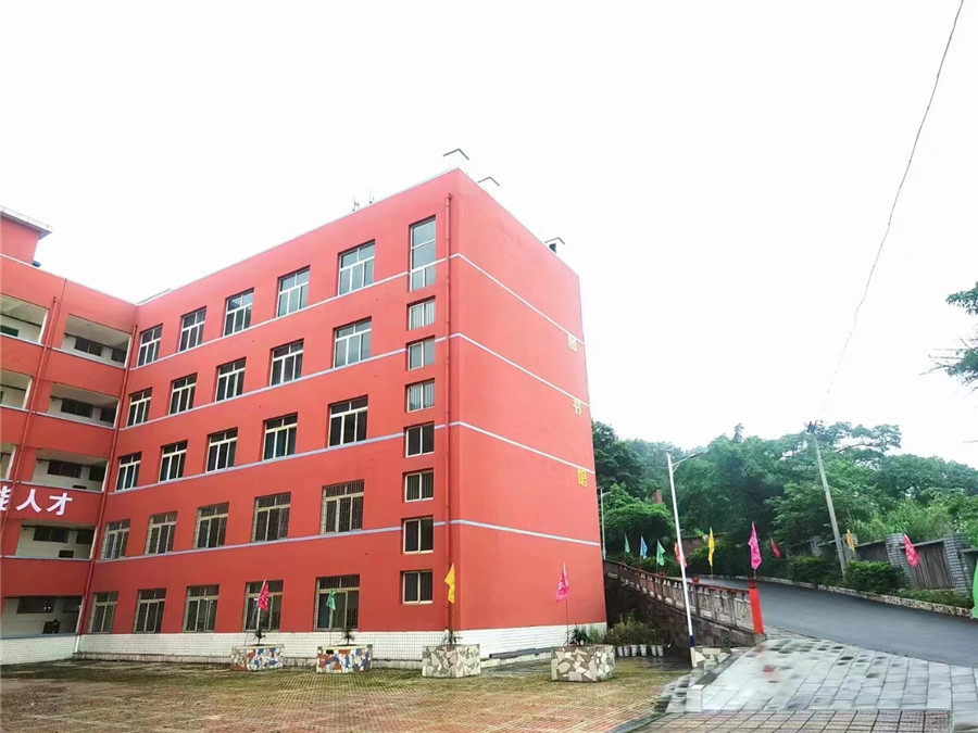 直利树桥教育_学校环境