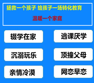 直利树桥教育