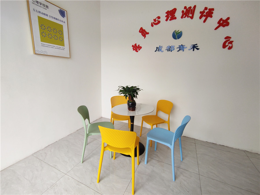 青禾启卓素质教育_心理咨询室