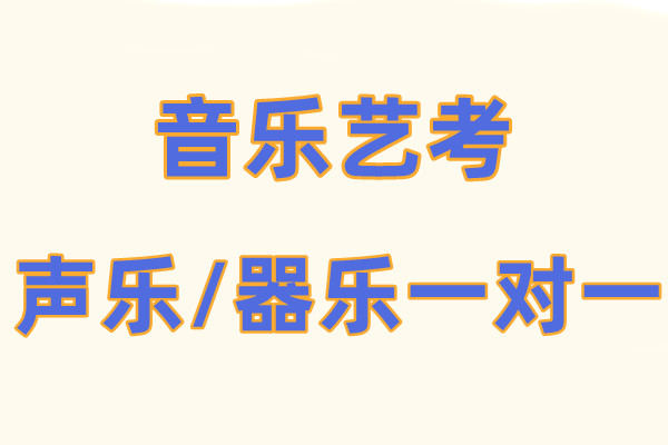 声乐/器乐一对一