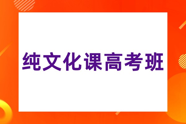 纯文化课高考班