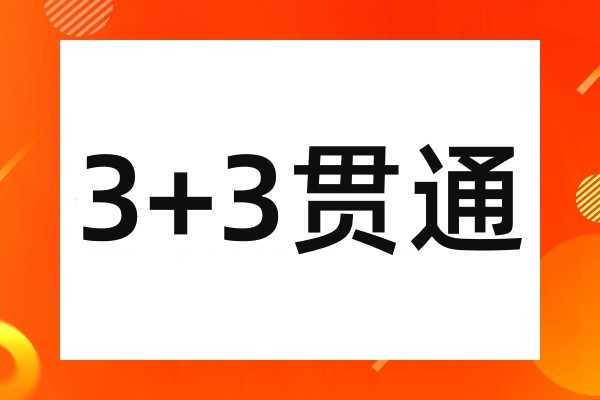 3+3贯通