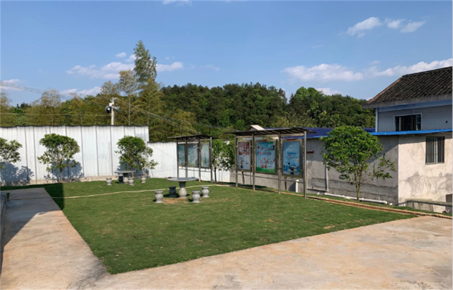 深度成长教育_学校环境