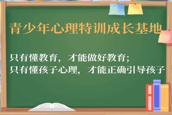 青少年素质教育课程
