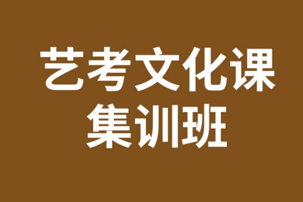 艺考文化课辅导课程